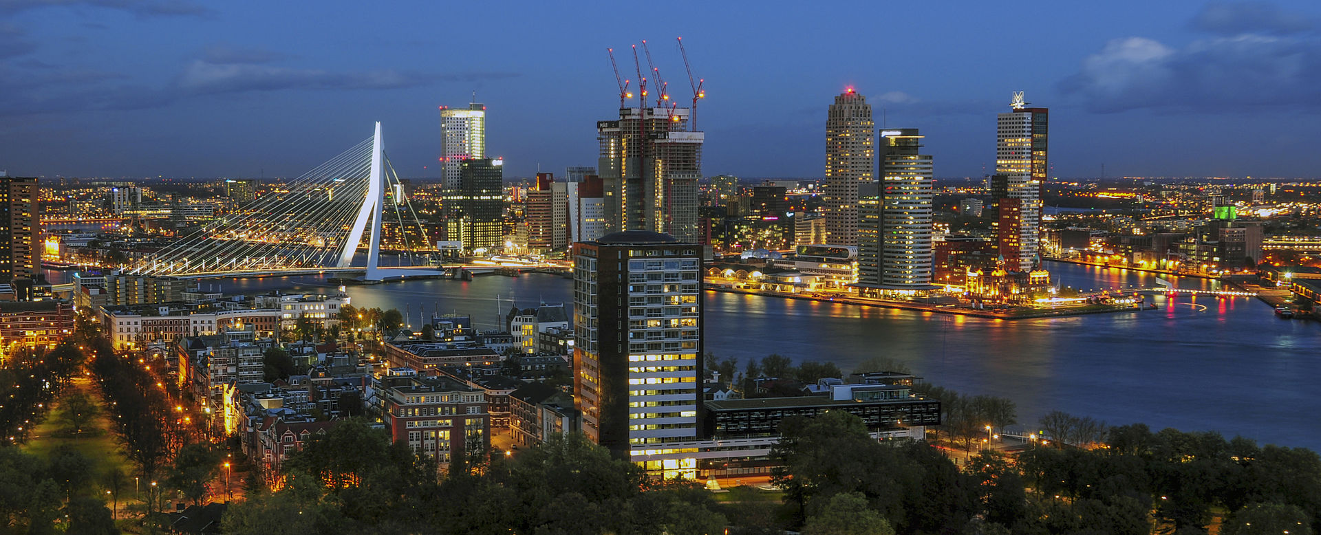 Rotterdam background image